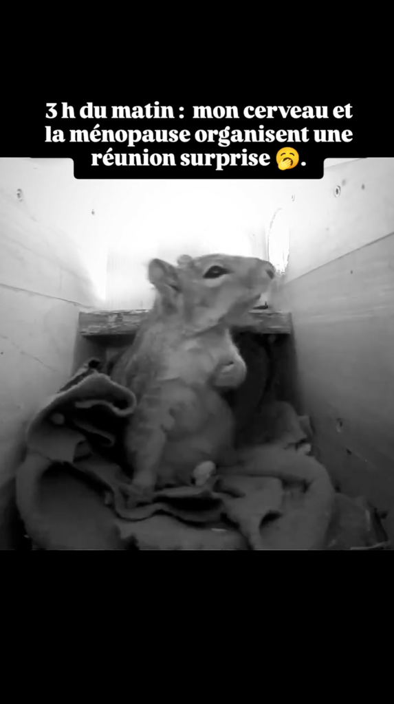 3H du matin, mon cerveau et la ménopause organisent une réunion surprise