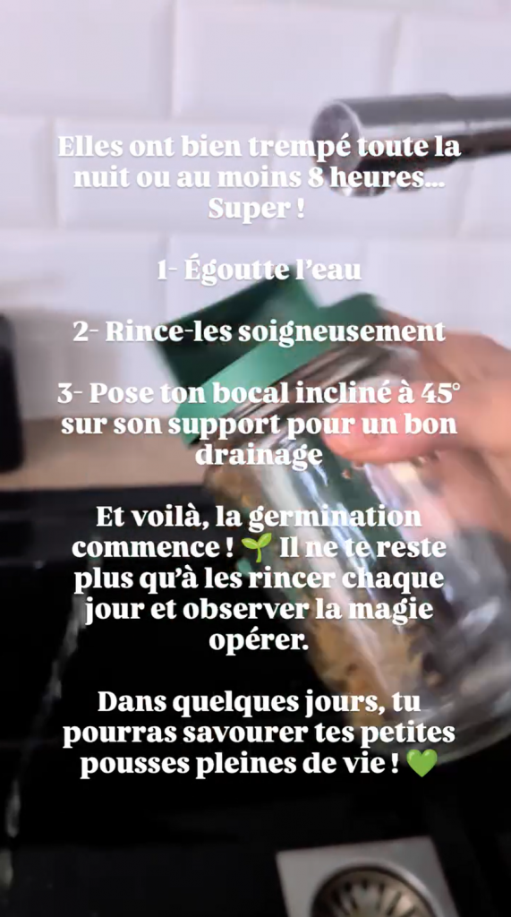 graines germées ménopause