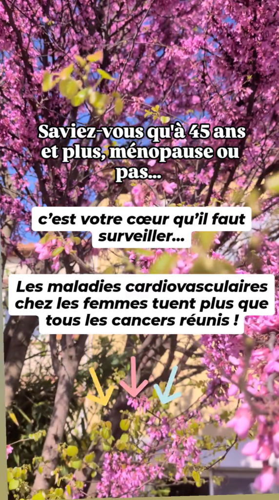 ménopause maladies cardiovasculaires